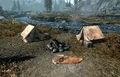 Adventurers Campsite.png