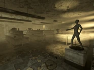 FO3 Cornucopia int