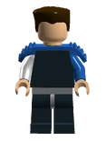DashKnight