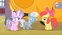 Apple Bloom looks bored S3E4