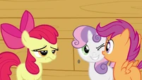 Sweetie Belle winks S3E04