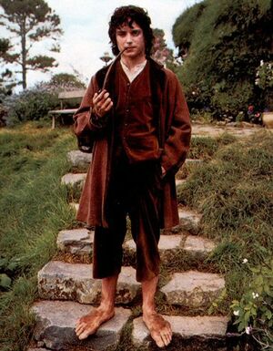 Frodo Bolsón
