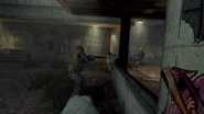 Civilian Brutality BOII
