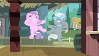 Diamond Tiara and Silver Spoon are falling down S3E4
