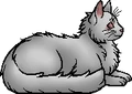One-eye.elder