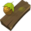 Hazel Plank
