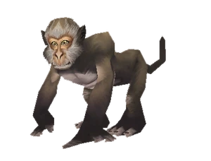 Monkey