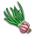 Shallot-icon