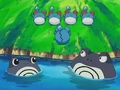 EH14 Poliwhirl, Poliwrath y varios Marill.jpg