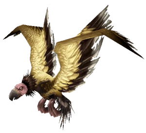 Condor