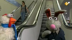 Angsthaas&Stuntkip - Korneel Evers - escalator