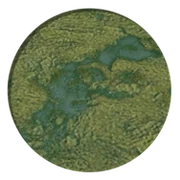 Marsh (Civ5)