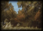 Jing Province 2 (DW4)
