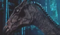 Thestralhp5.jpg