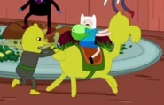 No finn stahp