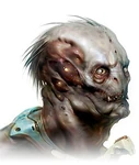 KennethScott didact-300-2