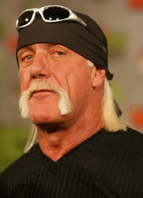 hulk-hogan-rocky-wiki