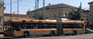 FilobUs bOLOGNA8