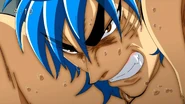 Toriko 14