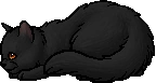 Yellowfang.kit.png (7 KB) Yellowfang.kit