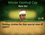 Winter Festival CapM