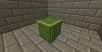 Green Construction Foam