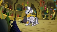 Zecora In House S2E6
