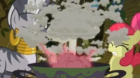 Zecora AB Potion Poof S2E6