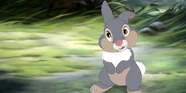 Thumper (1)