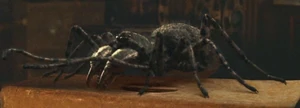 1x2giantArachnid