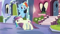 Rainbow Dash looking at local pony S3E1
