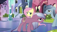 Fluttershy 'Oh, um, excuse me' S3E1