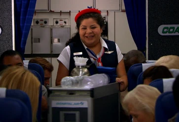 Trishflightattendant