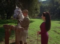 Equestrian adventure.jpg