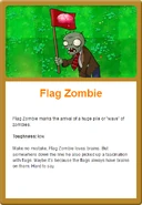 Flag Online