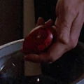 Owon egg.jpg