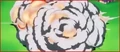 Bangcannonexplodes