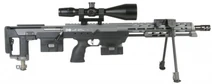 Dsr-1