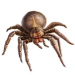 Item nomadspider 01