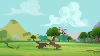 Fluttershy being carried by birds S3E05