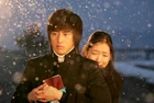 Tree of Heaven13