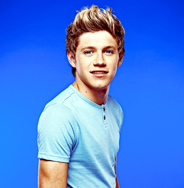 http://images3.wikia.nocookie.net/__cb20121212031550/onedirection/images/2/2c/Niallhoran.png