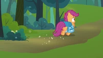 Scootaloo looking around S3E06