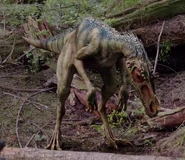 BabesInTheWoodsOrnitholestes