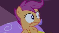 Scootaloo looks left S3E06