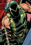 Hydra Spider-Man