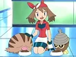 EP465 Swinub y Seedot