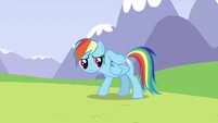 Rainbow feeling her back S3E7