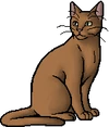 Whiskernose.warrior