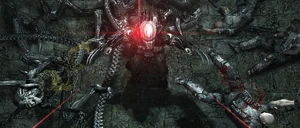 Avp victory